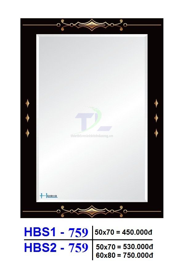 Gương soi phòng tắm HOBIG HBS1-759